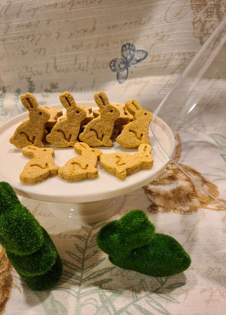 Homemade bunny outlet treats